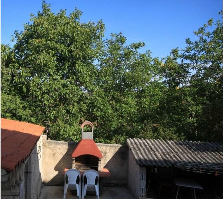 Apartment Radovan 포레치 외부 사진